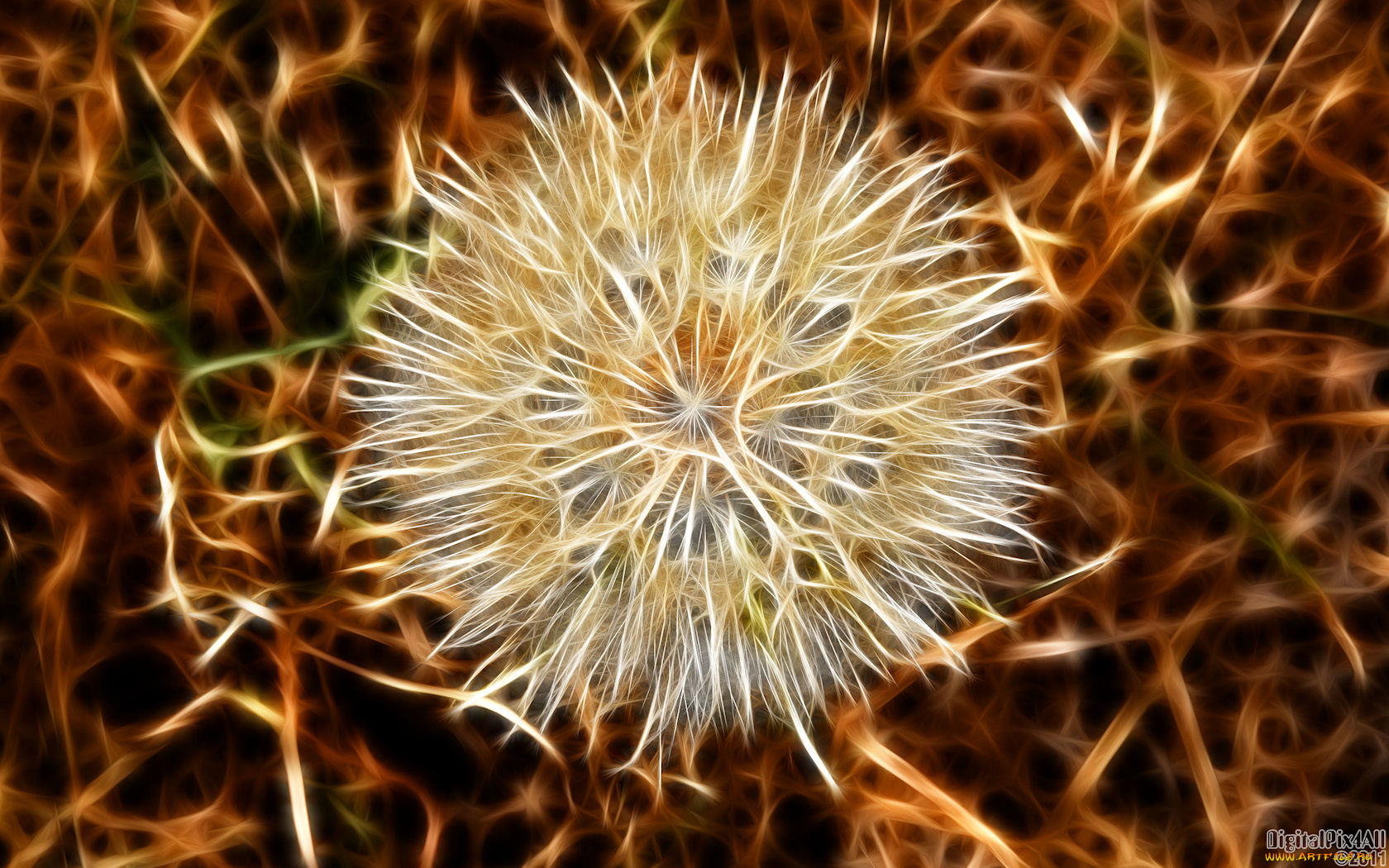 3, , flowers, , , , 